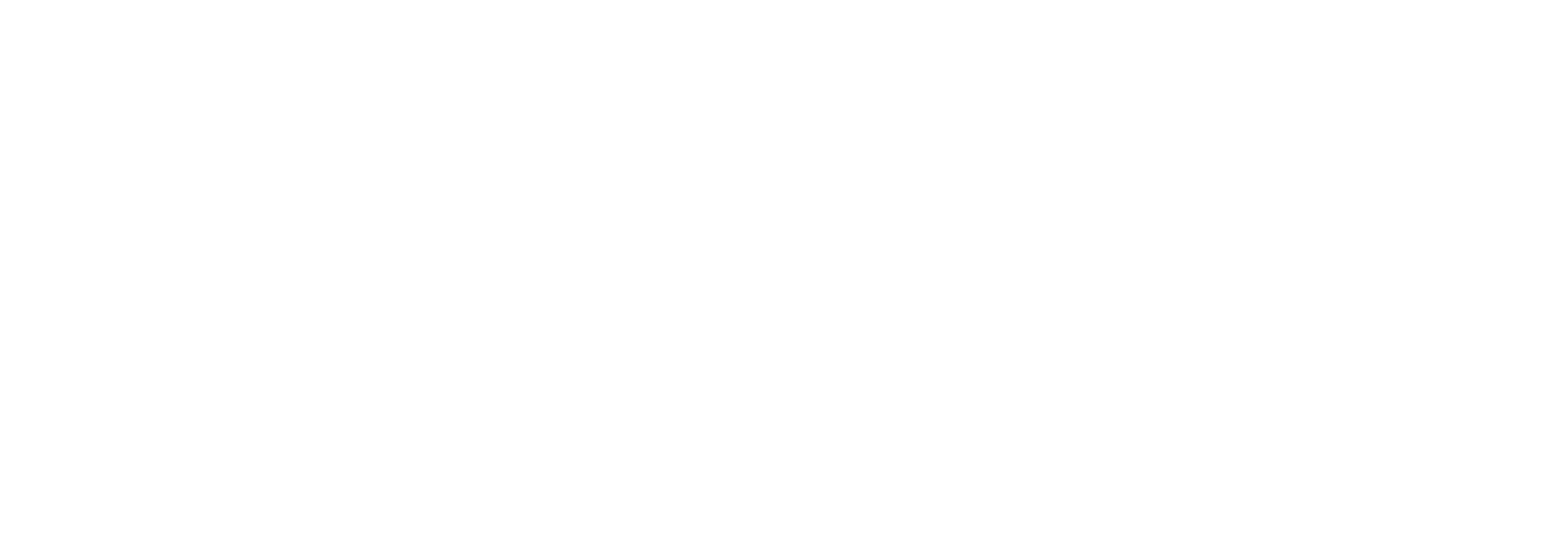 UM Outline / White